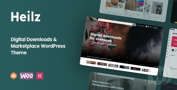 Heilz v2.0.1（已汉化80%） - Digital Goods WordPress 主题插图