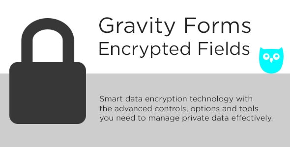 Gravity Forms Encrypted Fields v6.1.4