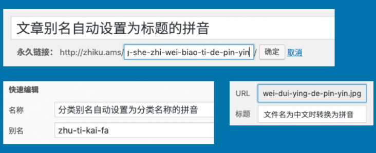 解决Wordpress中文Tag标签404错误的问题插图(1)