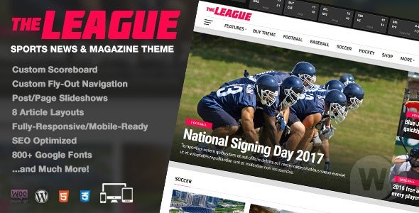 The League v4.5.0 - 体育新闻 WordPress 主题插图