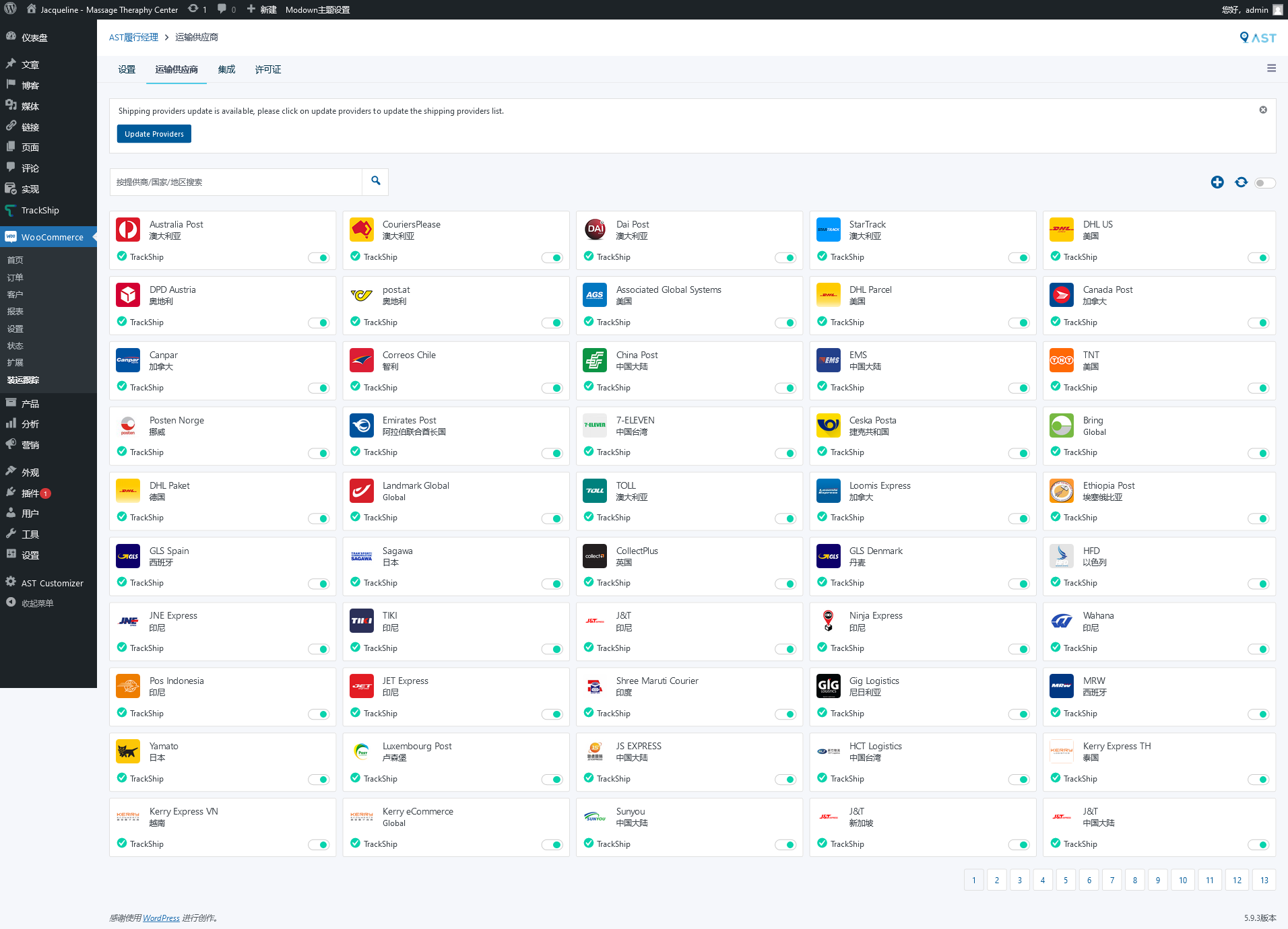 AST Fulfillment Manager ( FORMERLY Advanced Shipment Tracking Pro ) (AST) v4.6（已汉化） - WooCommerce订单跟踪物流同步插件插图(2)