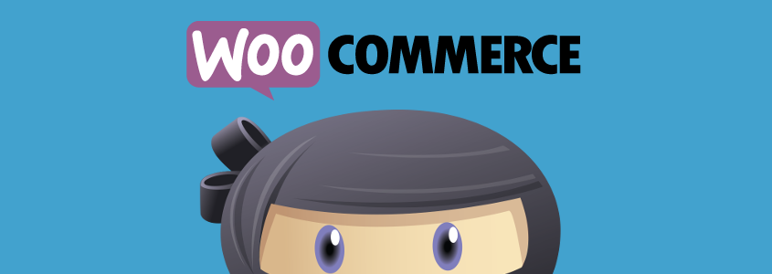 WPAdverts + Pro Extensions v2.1.4 - 使用 WooCommerce 插件  + 附加组件接受付款