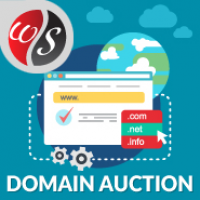 Domains Auction v1.2.0 - WHMCS域名拍卖模板插图