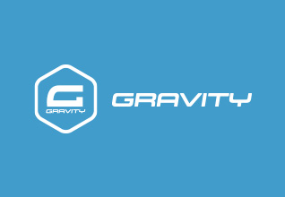 Download Monitor Gravity Forms Lock Extension v.4.0.5插图