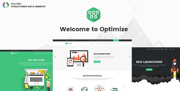 Optimize v2.1 - WordPress SEO和社交媒体主题