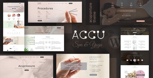 Accu v3.1 - 医疗保健、按摩 WordPress 主题 Accu插图