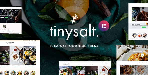 TinySalt v3.0.0 -   WordPress个人美食博客主题插图