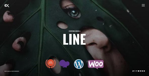 Wox v3.4 – One Page Portfolio WordPress 主题插图