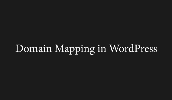 Domain Mapping System PRO v1.9.1