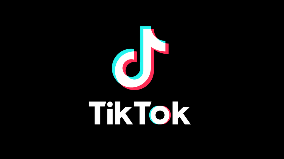 TikTok Feed PRO v4.1.8插图