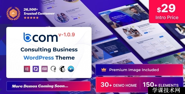 Bcom v1.1.6 - Consulting Business插图