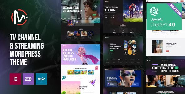 MediaFlex v1.2 – 电视频道和流媒体 WordPress 主题