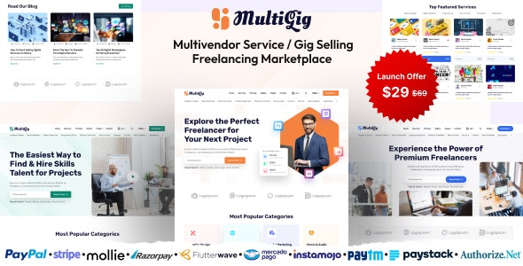 MultiGig v1.0  - Service / Gig Selling Freelancing Marketplace (Subscription Based)插图