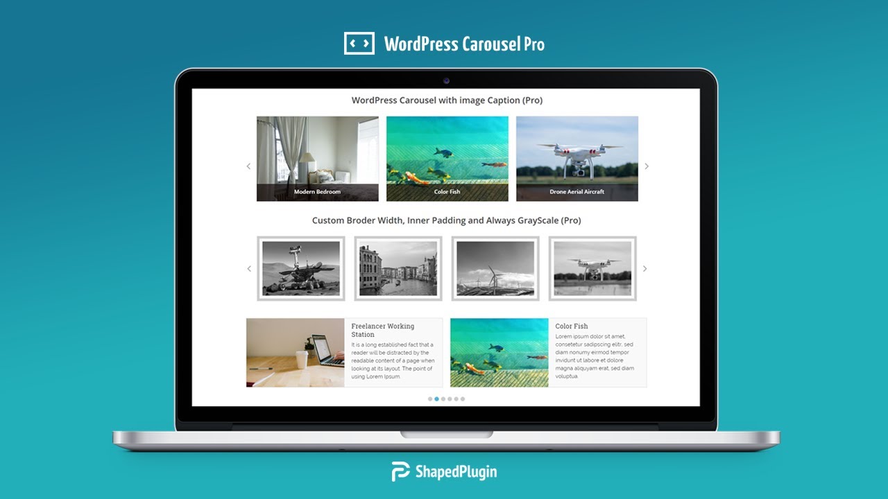 WP Carousel Pro v4.0.0