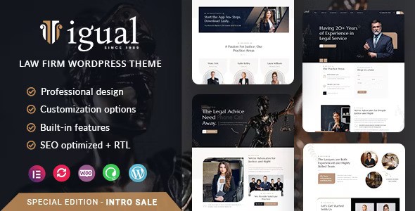 Igual v1.0.6 – WordPress 律师事务所主题插图