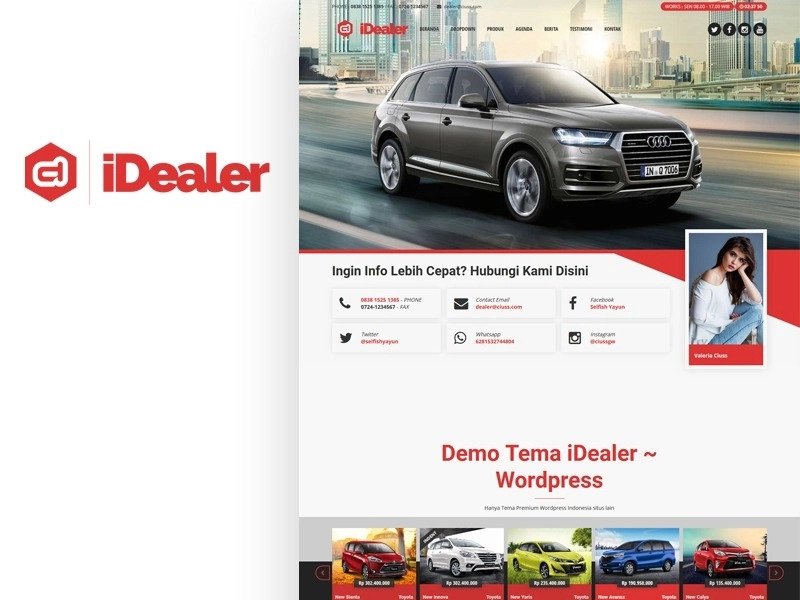 Idealer Wp Dealer Themes v3.2.8.1插图