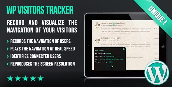 WP Visitors Tracker v2.3插图