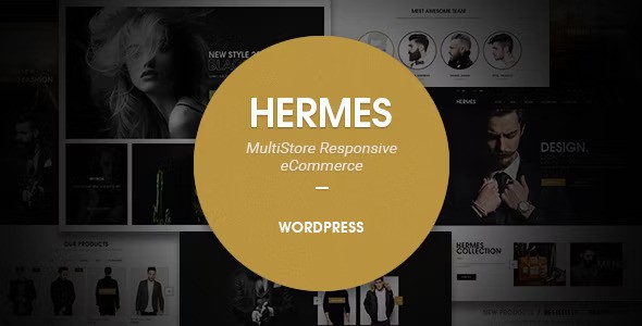 Hermes v2.1.6 – Multi-Purpose Premium Responsive WordPress Theme插图