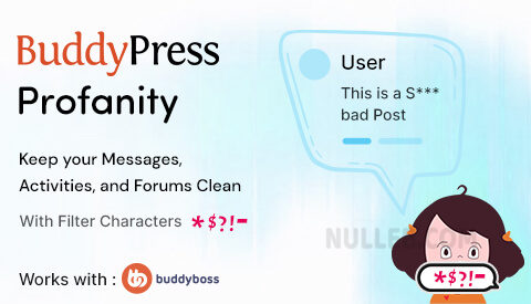 BuddyPress Profanity Filter v1.2.3插图